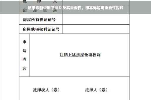 临床诊断证明书图片及其重要性，样本详解与重要性探讨