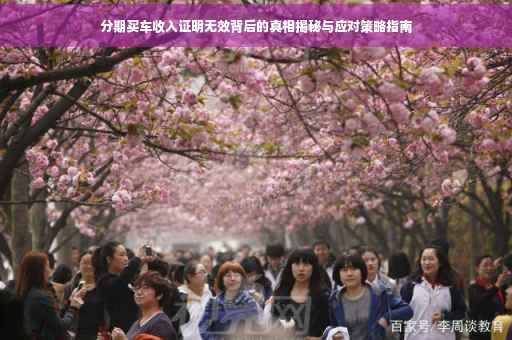 分期买车收入证明无效背后的真相揭秘与应对策略指南
