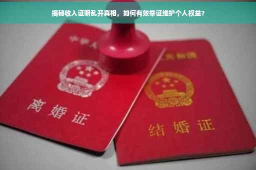 揭秘收入证明乱开真相，如何有效举证维护个人权益？
