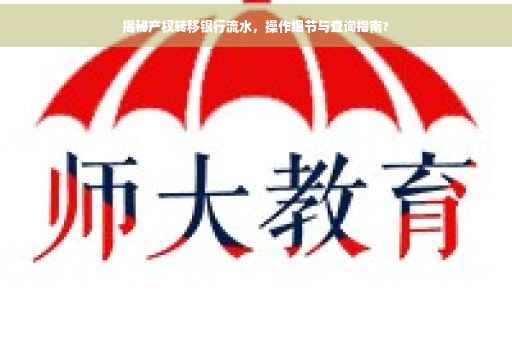 揭秘产权转移银行流水，操作细节与查询指南?