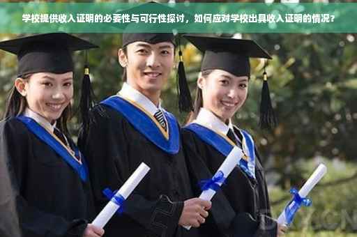 学校提供收入证明的必要性与可行性探讨，如何应对学校出具收入证明的情况？