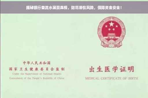 揭秘银行查流水漏洞真相，防范潜在风险，保障资金安全！