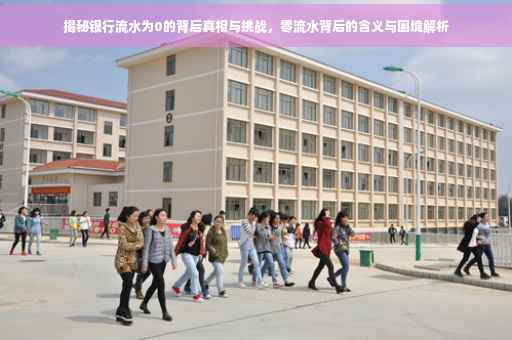 揭秘银行流水为0的背后真相与挑战，零流水背后的含义与困境解析
