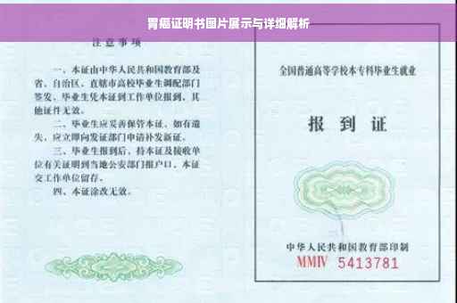 胃癌证明书图片展示与详细解析