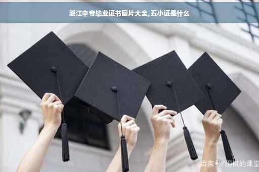 湛江中专毕业证书图片大全,五小证是什么