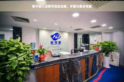 妻子收入证明开具全攻略，步骤与要点详解