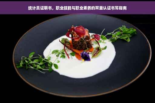 统计员证明书，职业技能与职业素养的双重认证书写指南