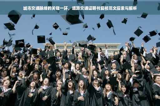 城市交通脉络的关键一环，道路交通证明书复核范文探索与解析