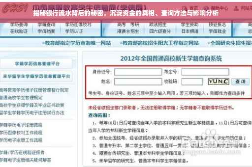 揭秘银行流水背后的秘密，沉淀资金的真相、查询方法与影响分析