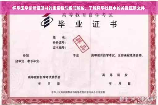 怀孕医学诊断证明书的重要性与细节解析，了解怀孕过程中的关键证明文件