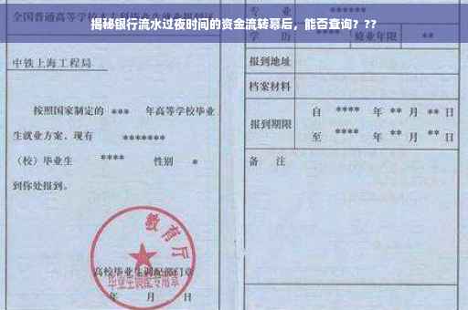 揭秘银行流水过夜时间的资金流转幕后，能否查询？??