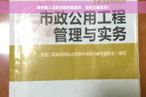 经济收入证明关键内容解析，如何正确填写？