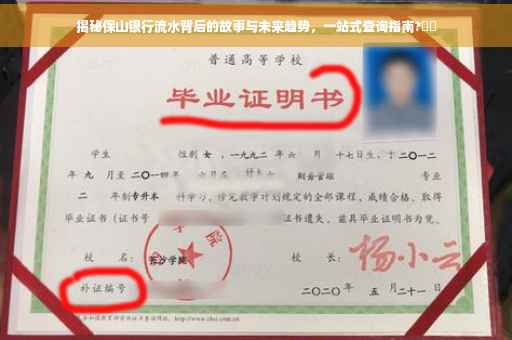 揭秘保山银行流水背后的故事与未来趋势，一站式查询指南?⚡️