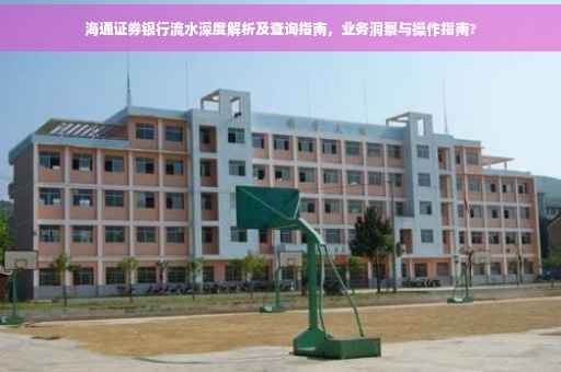 海通证券银行流水深度解析及查询指南，业务洞察与操作指南?