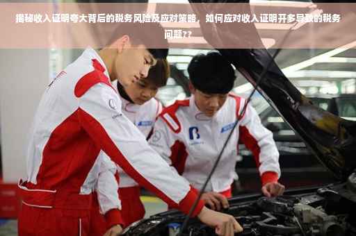 揭秘收入证明夸大背后的税务风险及应对策略，如何应对收入证明开多导致的税务问题??