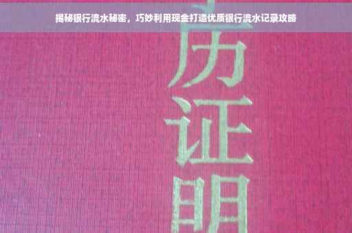 揭秘银行流水秘密，巧妙利用现金打造优质银行流水记录攻略