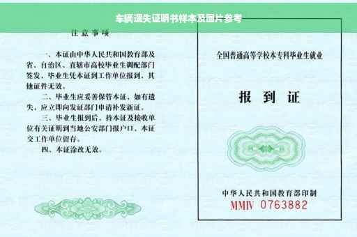 车辆遗失证明书样本及图片参考