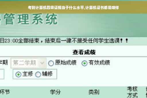 考到计算机四级证相当于什么水平,计算机证书都是啥样