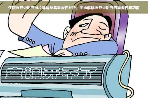 住院医疗证明书图片详解及其重要性分析，全面解读医疗证明书的重要性与功能