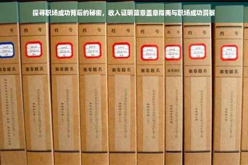 探寻职场成功背后的秘密，收入证明蓝章盖章指南与职场成功洞察