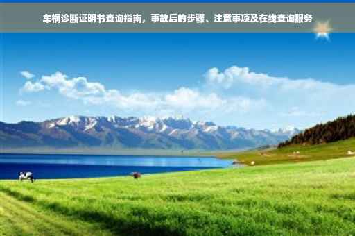 车祸诊断证明书查询指南，事故后的步骤、注意事项及在线查询服务