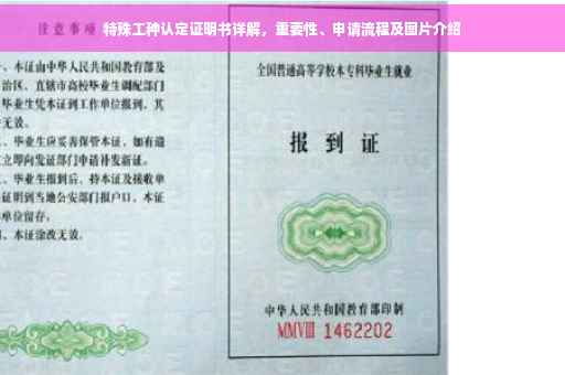 特殊工种认定证明书详解，重要性、申请流程及图片介绍