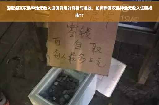 深度探究农民种地无收入证明背后的真相与挑战，如何撰写农民种地无收入证明指南??
