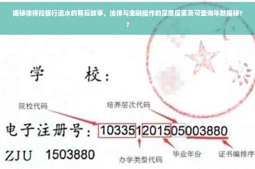 揭秘律师拉银行流水的背后故事，法律与金融操作的深度探索及可查询年数揭秘??
