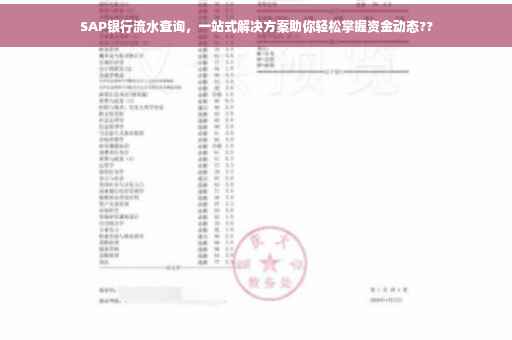 SAP银行流水查询，一站式解决方案助你轻松掌握资金动态??