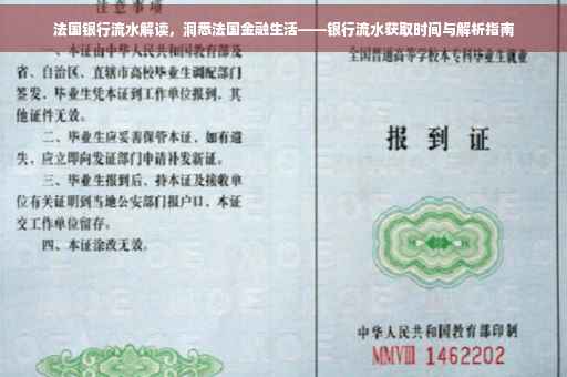 法国银行流水解读，洞悉法国金融生活——银行流水获取时间与解析指南