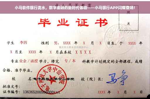 小马软件银行流水，数字金融的新时代体验——小马银行APP闪耀登场！