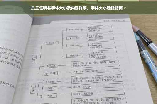 员工证明书字体大小及内容详解，字体大小选择指南 ?