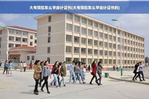 大专现在怎么学会计证书(大专现在怎么学会计证书的)