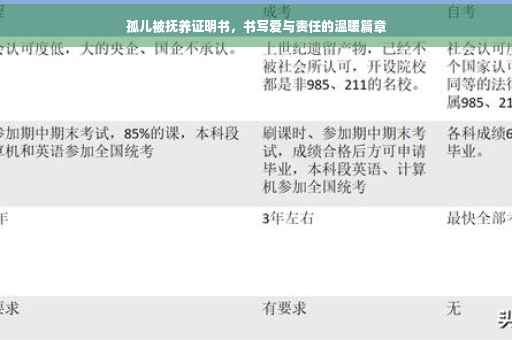 孤儿被抚养证明书，书写爱与责任的温暖篇章