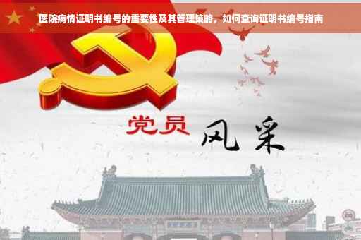 医院病情证明书编号的重要性及其管理策略，如何查询证明书编号指南