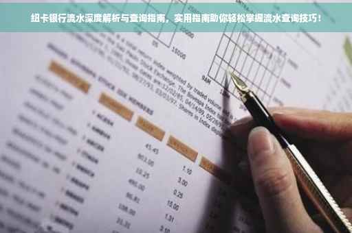纽卡银行流水深度解析与查询指南，实用指南助你轻松掌握流水查询技巧！