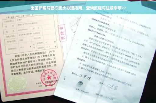 出国护照与银行流水办理指南，查询流程与注意事项??