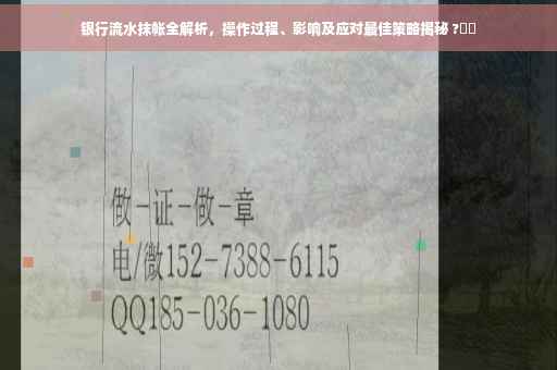 银行流水抹帐全解析，操作过程、影响及应对最佳策略揭秘 ?⚡️