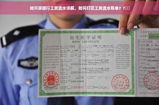 哈尔滨银行工资流水详解，如何打印工资流水账单？?⚡️