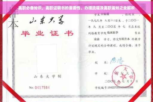 离职必备知识，离职证明书的重要性、办理流程及离职需知之全解析