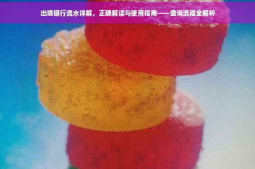 出境银行流水详解，正确解读与使用指南——查询流程全解析