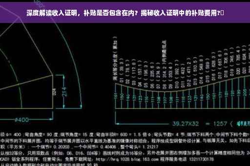 深度解读收入证明，补贴是否包含在内？揭秘收入证明中的补贴费用?✨