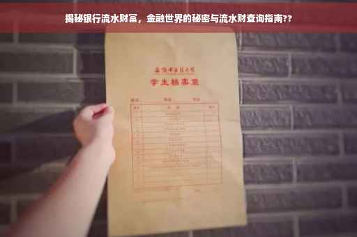 揭秘银行流水财富，金融世界的秘密与流水财查询指南??