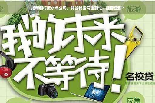 揭秘银行流水单公司，背景秘密与重要性，能否查到？