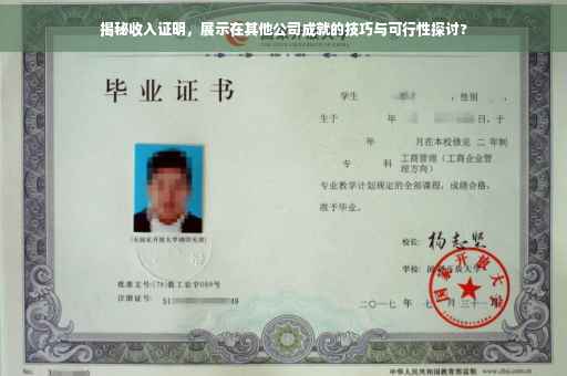 揭秘收入证明，展示在其他公司成就的技巧与可行性探讨?
