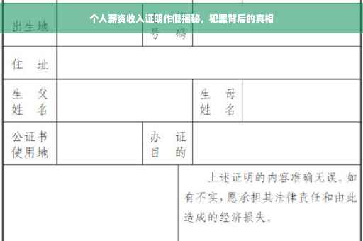 个人薪资收入证明作假揭秘，犯罪背后的真相