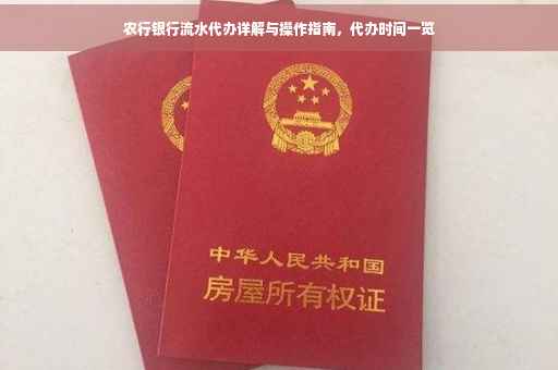 农行银行流水代办详解与操作指南，代办时间一览