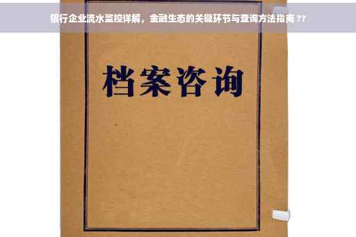 银行企业流水监控详解，金融生态的关键环节与查询方法指南 ??