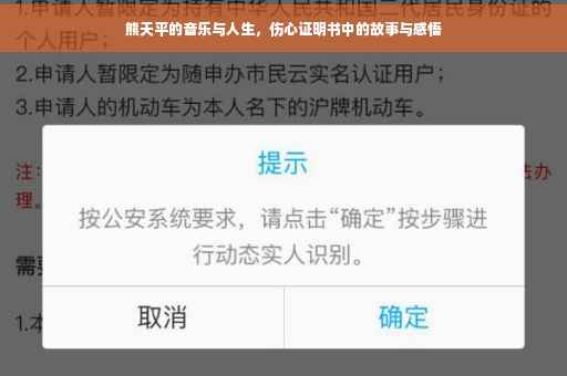 熊天平的音乐与人生，伤心证明书中的故事与感悟
