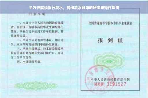 全方位解读银行流水，揭秘流水账单的秘密与操作指南
